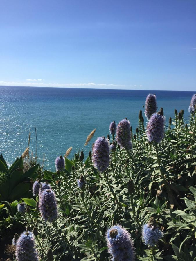 Estreito Da Calheta Calheta Ocean View Apartments 1 - Air Condition מראה חיצוני תמונה